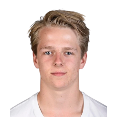 Niek Van Der Velden avatar